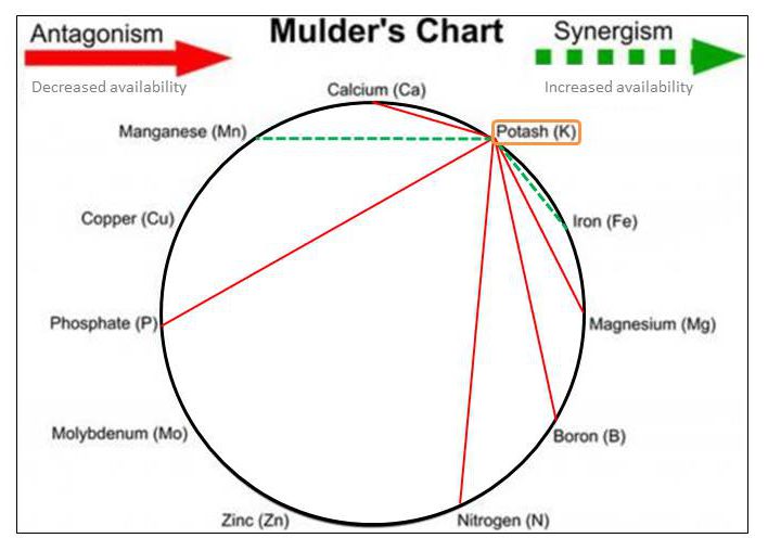 mulders-chart-excess-k-e1465939732543.jpg