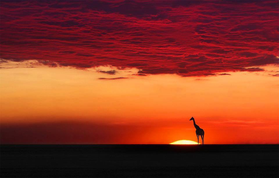 Sunset In Africa.jpg